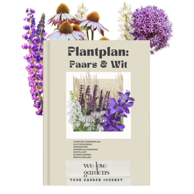 Magazine plantplan zon: paars en wit