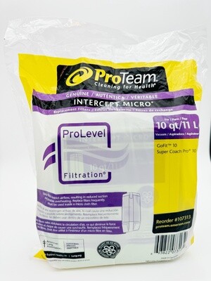 ProTeam 10Qt  107313