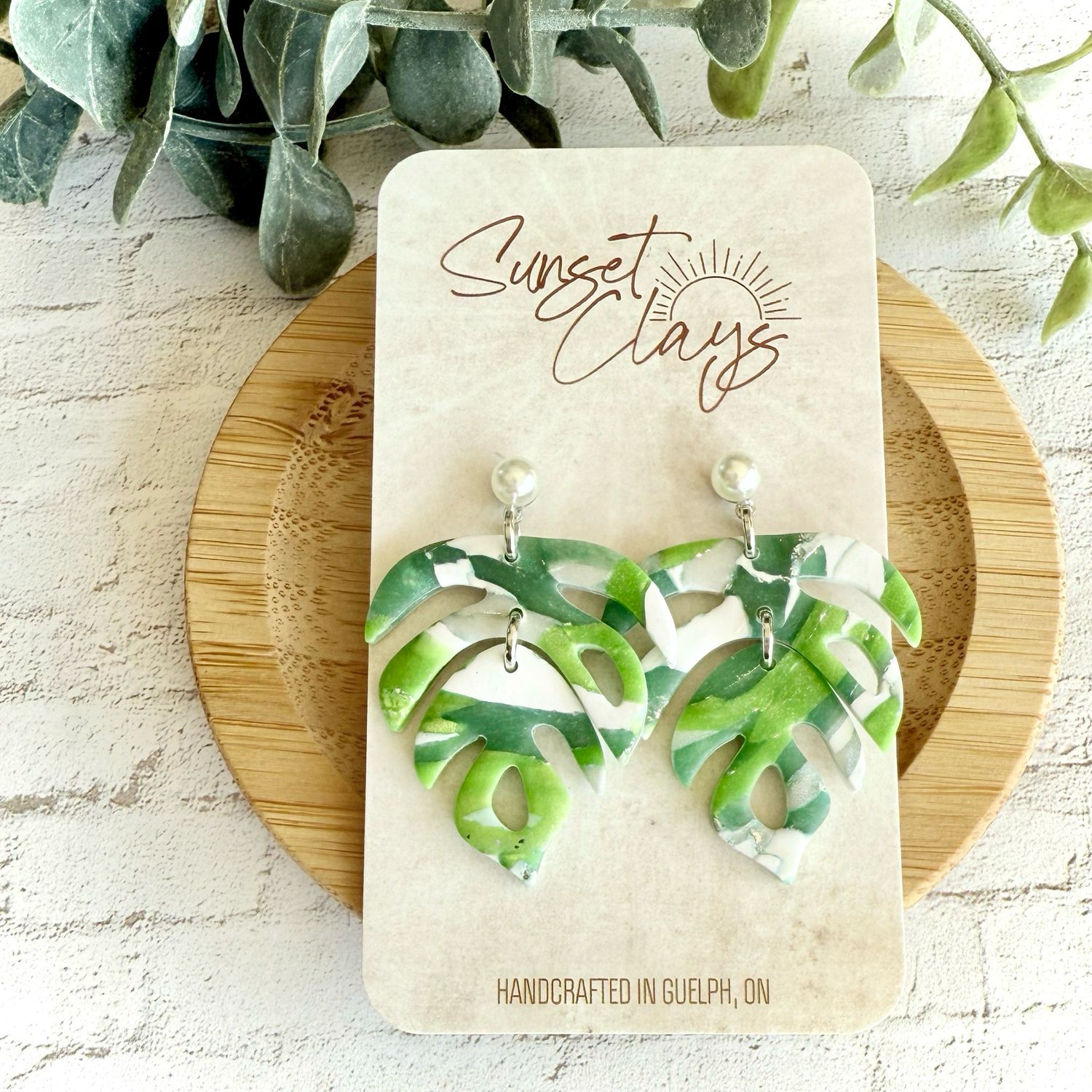 Monstera Variegated 2