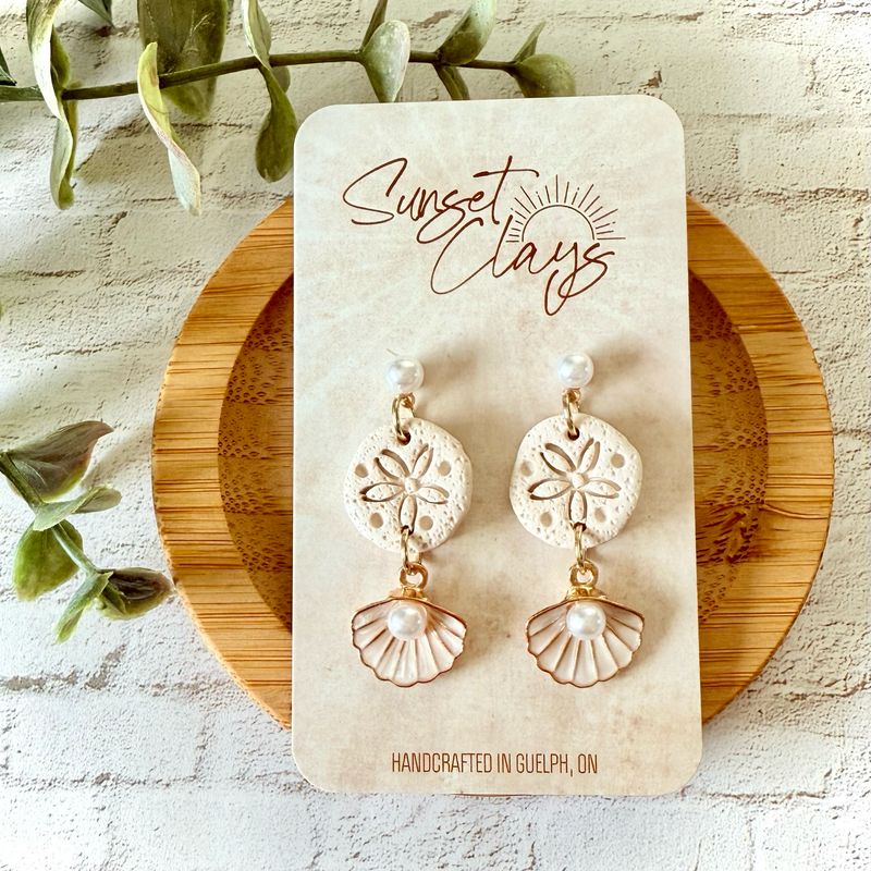 Sand Dollars &amp; Shells