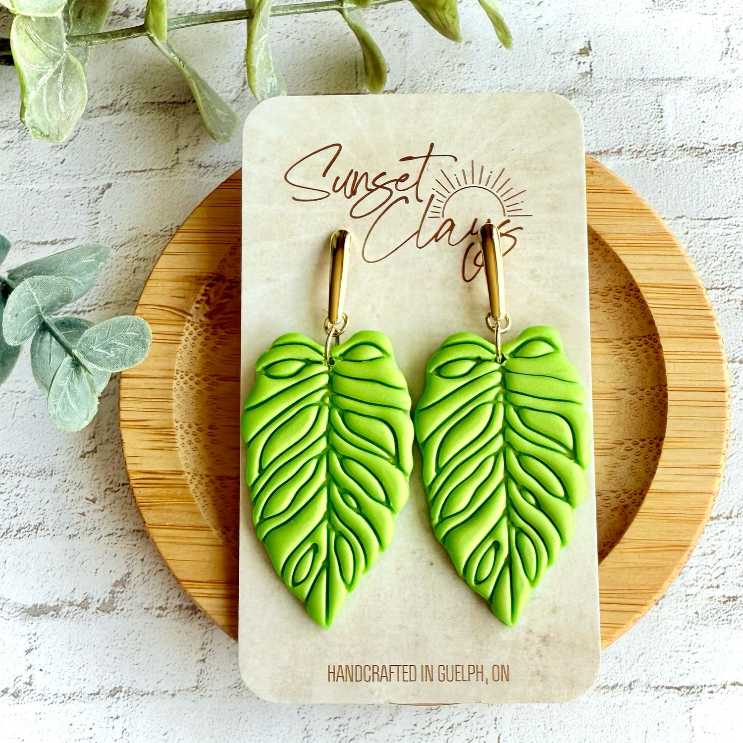 Large Neon Monstera Adasonii
