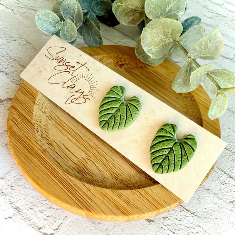 Philodendron Studs