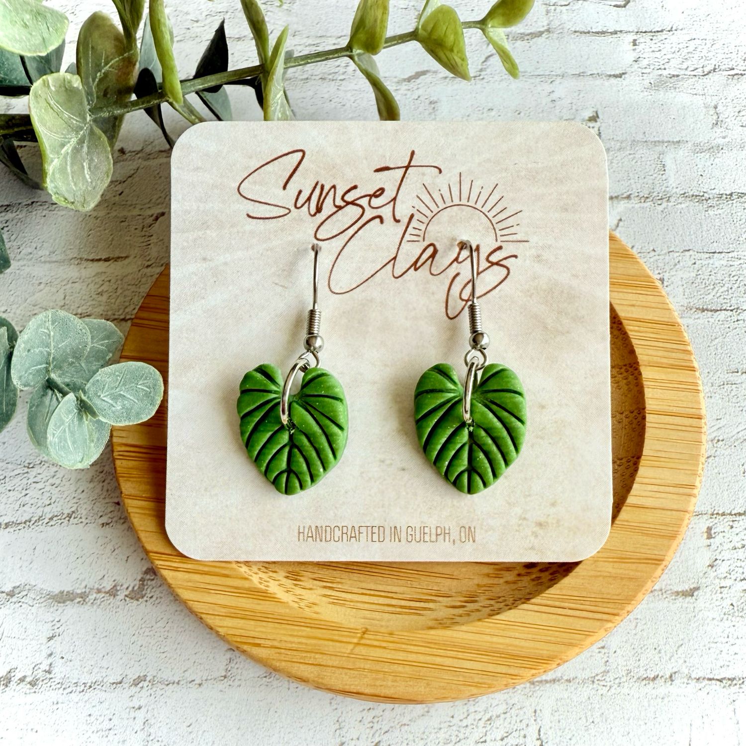 Green Philodendron