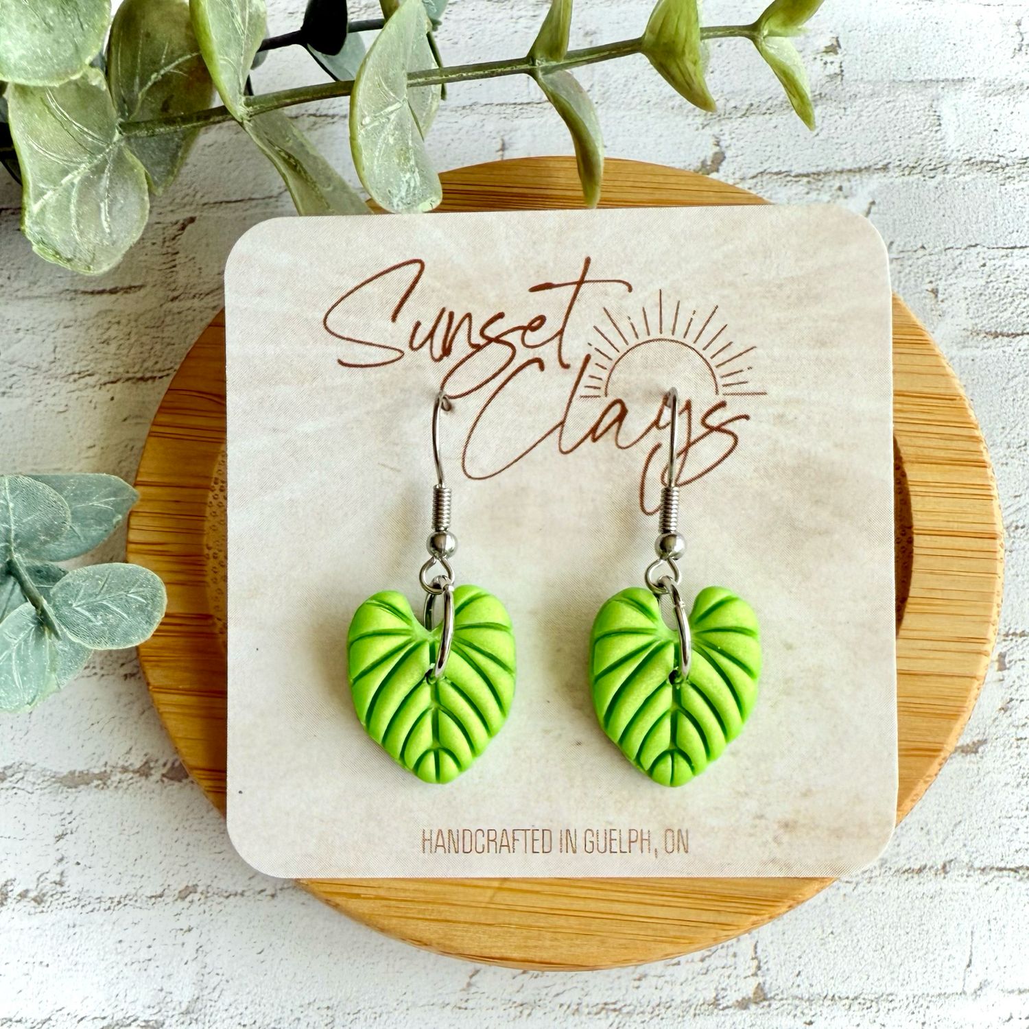Neon Philodendron