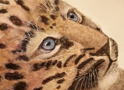Leopard Watercolor Painting