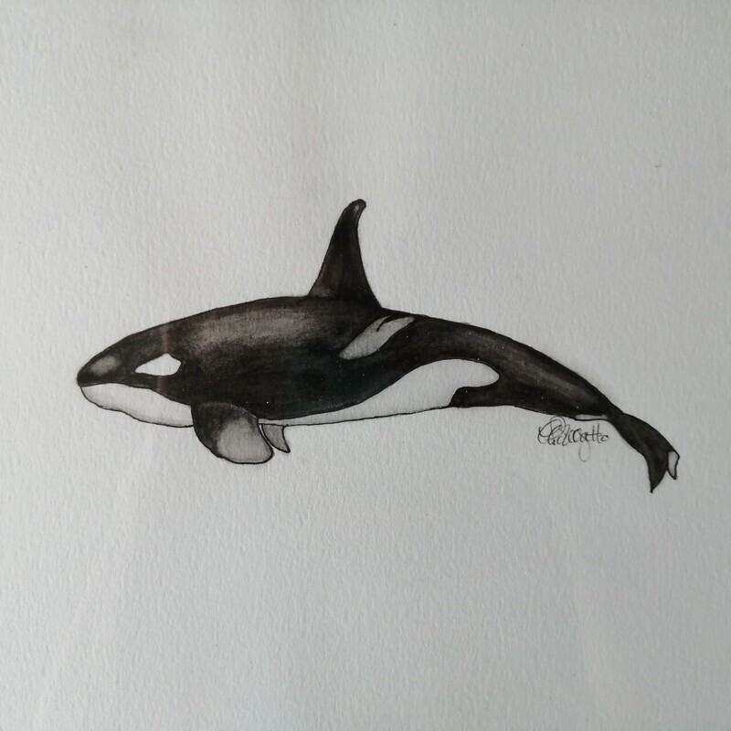 Orca