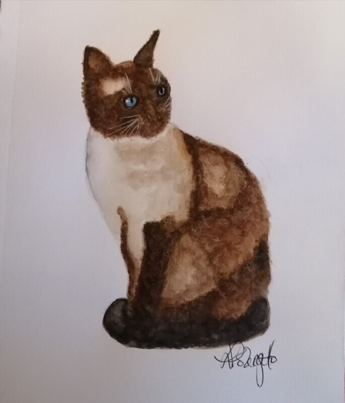 Siamese Cat
