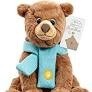 Bear Hunt Soft Toy