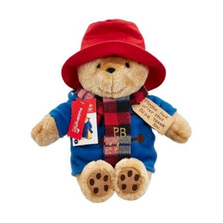 Paddington With Scarf