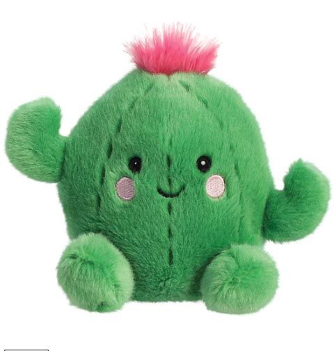 Prickles Cactus