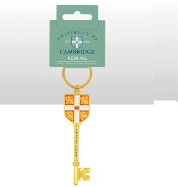 CU Gold Key Shaped Metal Keyring