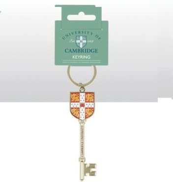 CU Silver Key Shaped Metal Keyring