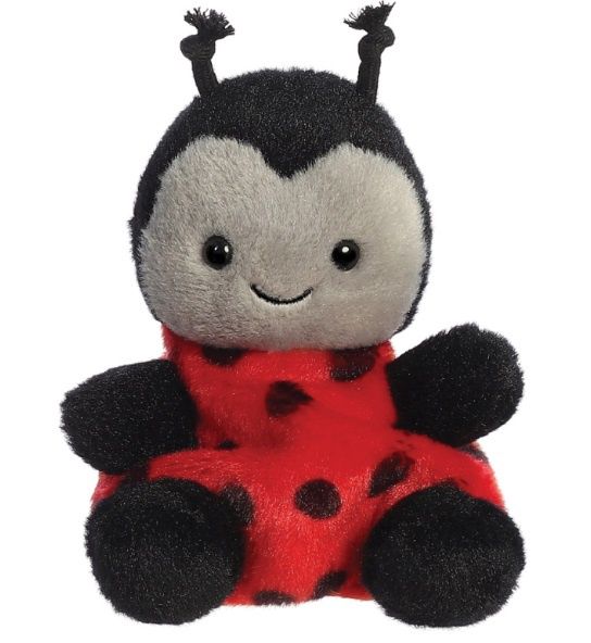Lil Spots Ladybird
