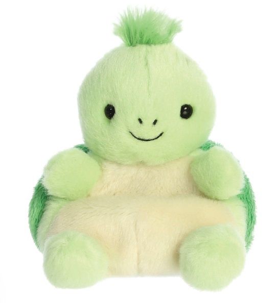 Tiny Turtle