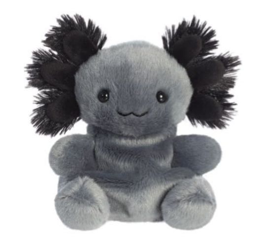 Onyx Axolotl