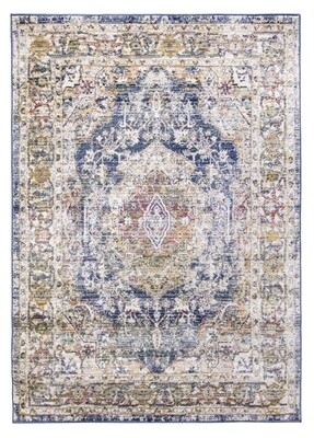 Blue Distressed Rug - Boho Medallion