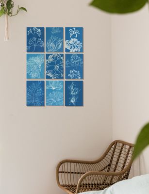 Anna Atkins  1799 - 1871