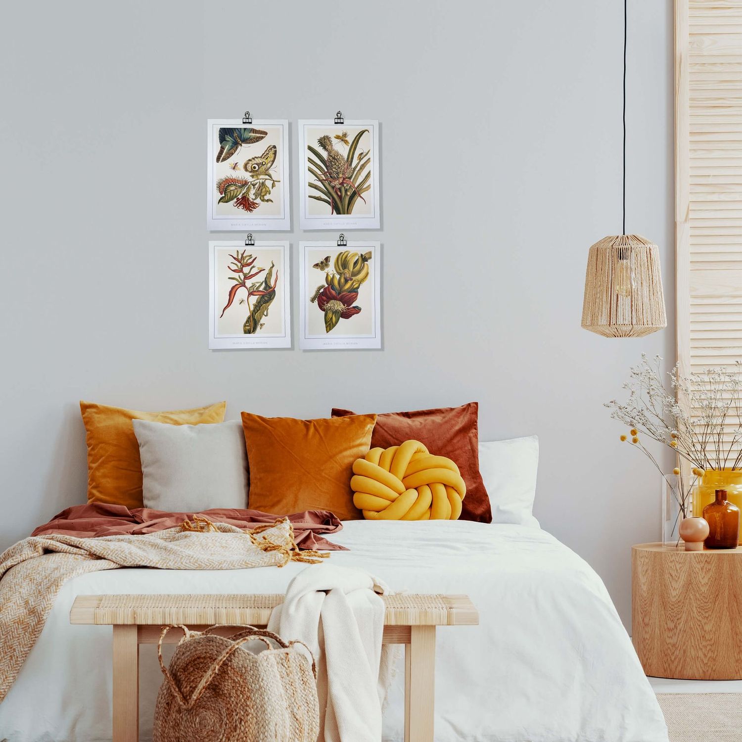 Maria Sibylla Merian set of 4 Fine Art Prints