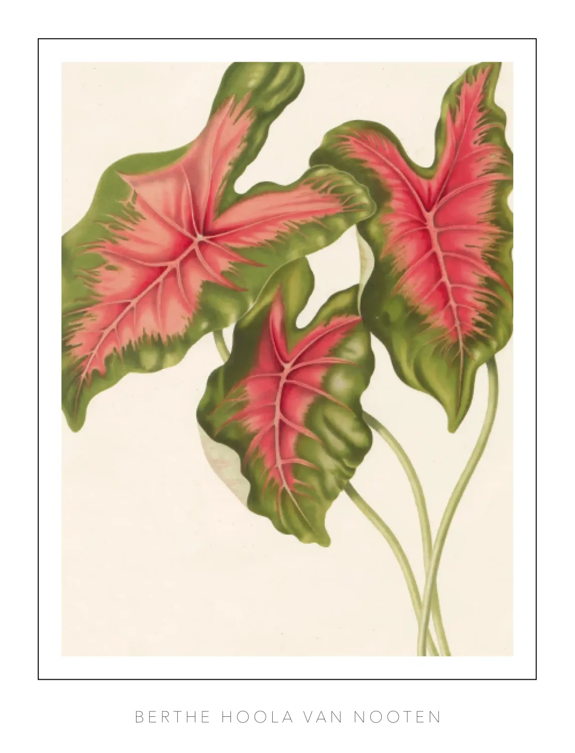 Berthe Hoola van Nooten - Plate 9 - Heart of Jesus