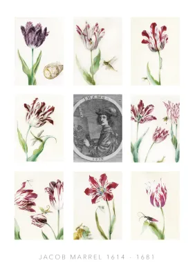 SPRING EDITION: TULIPS
