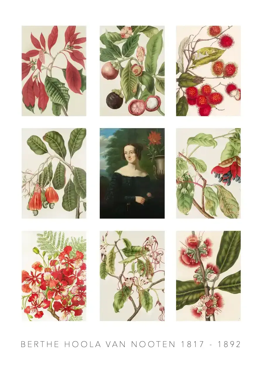 Berthe Hoola van Nooten - luxurious set of 8 cards- size A5