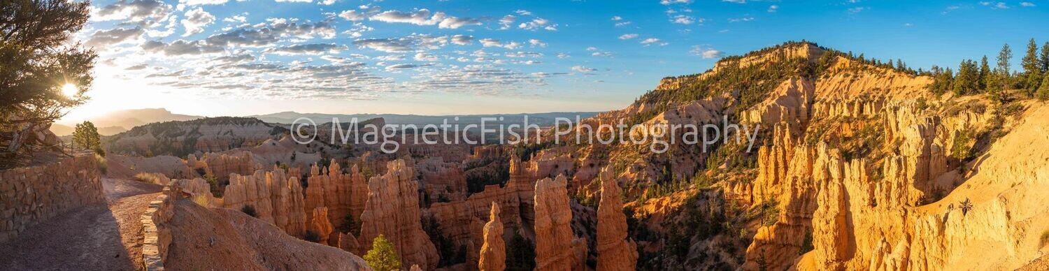 Bryce Canyon Panorama