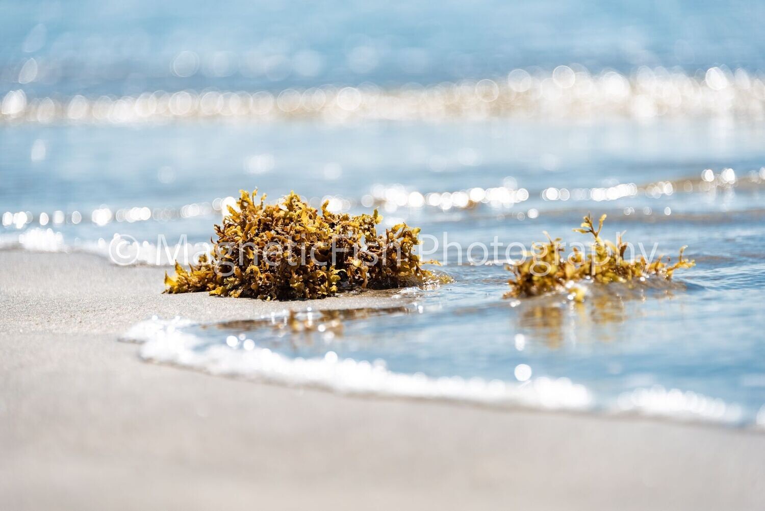 Beach Scene