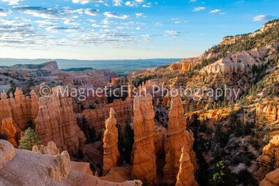 Desert Southwest