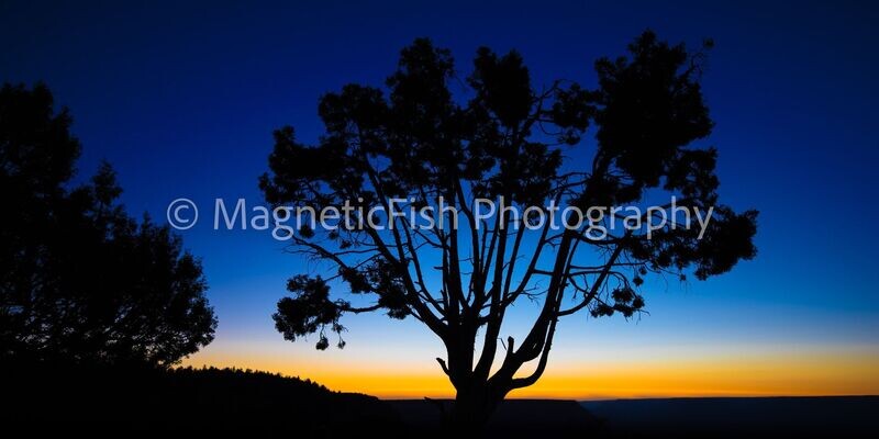 Grand Canyon Sunset Panorama