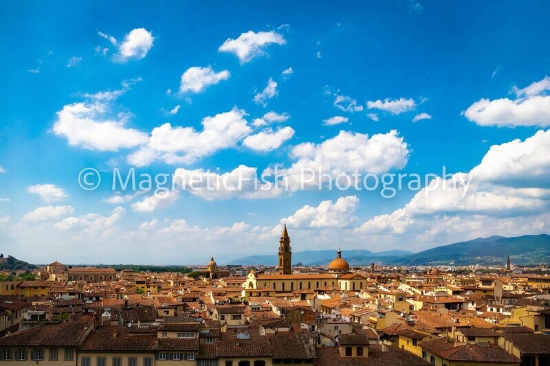 Bascilica di Santo Spirito