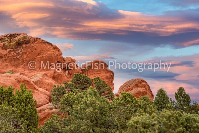 Garden of the Gods