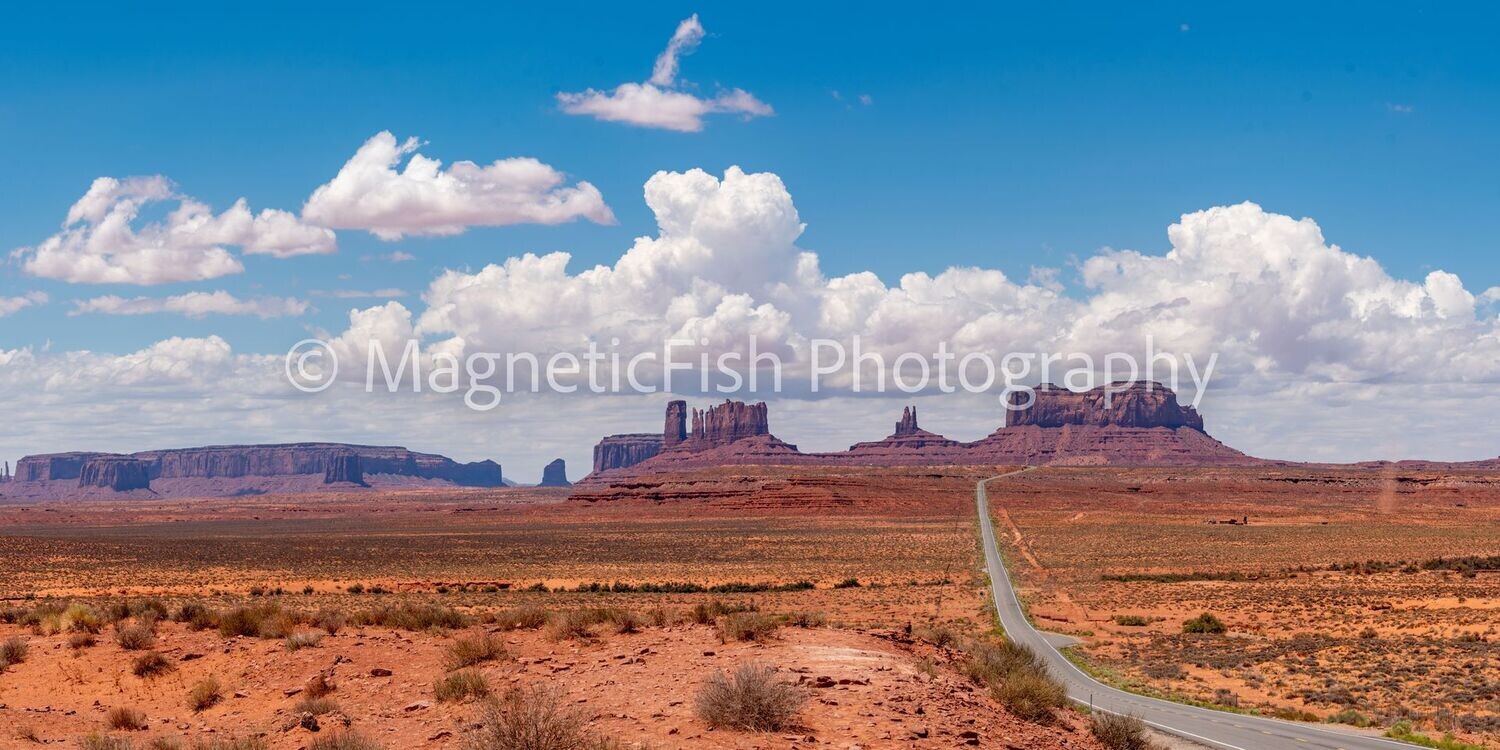 Monument Valley Panorama I