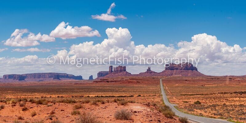 Monument Valley Panorama I