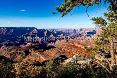 Grand Canyon II