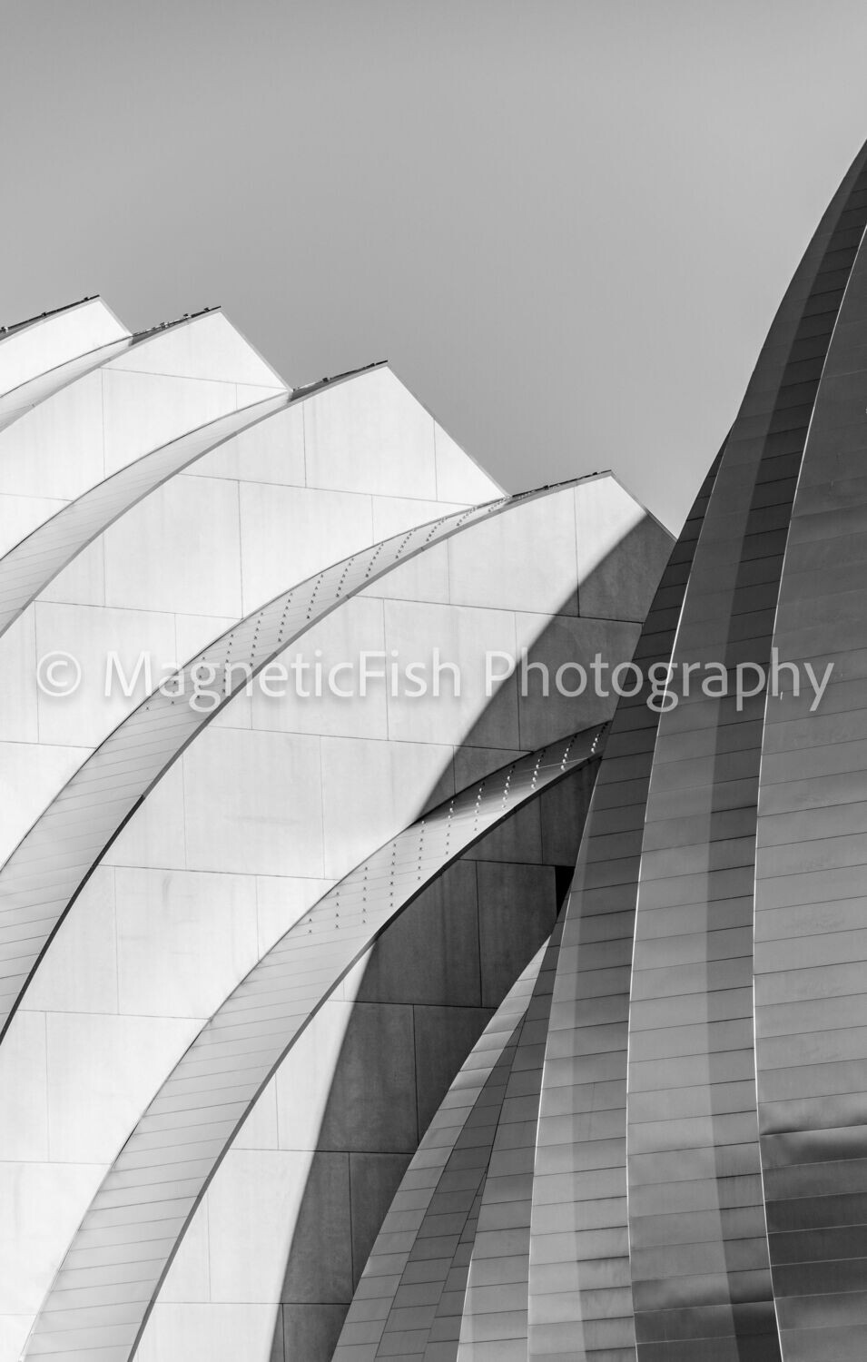 Kauffman IV