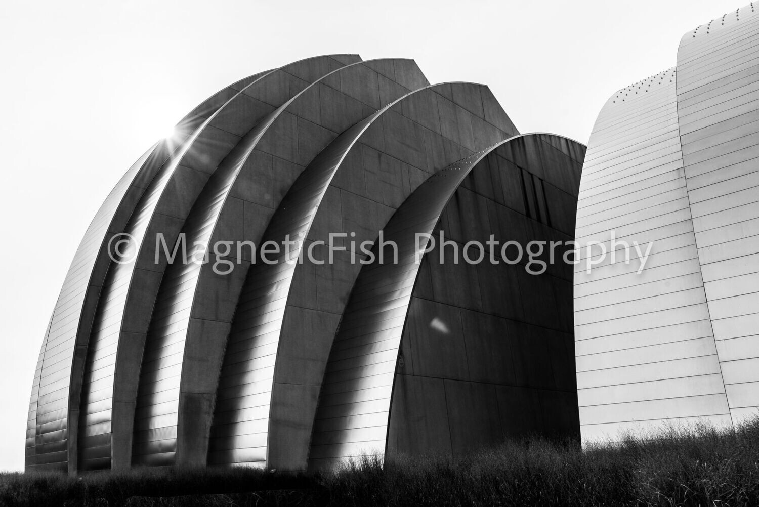 Kauffman V