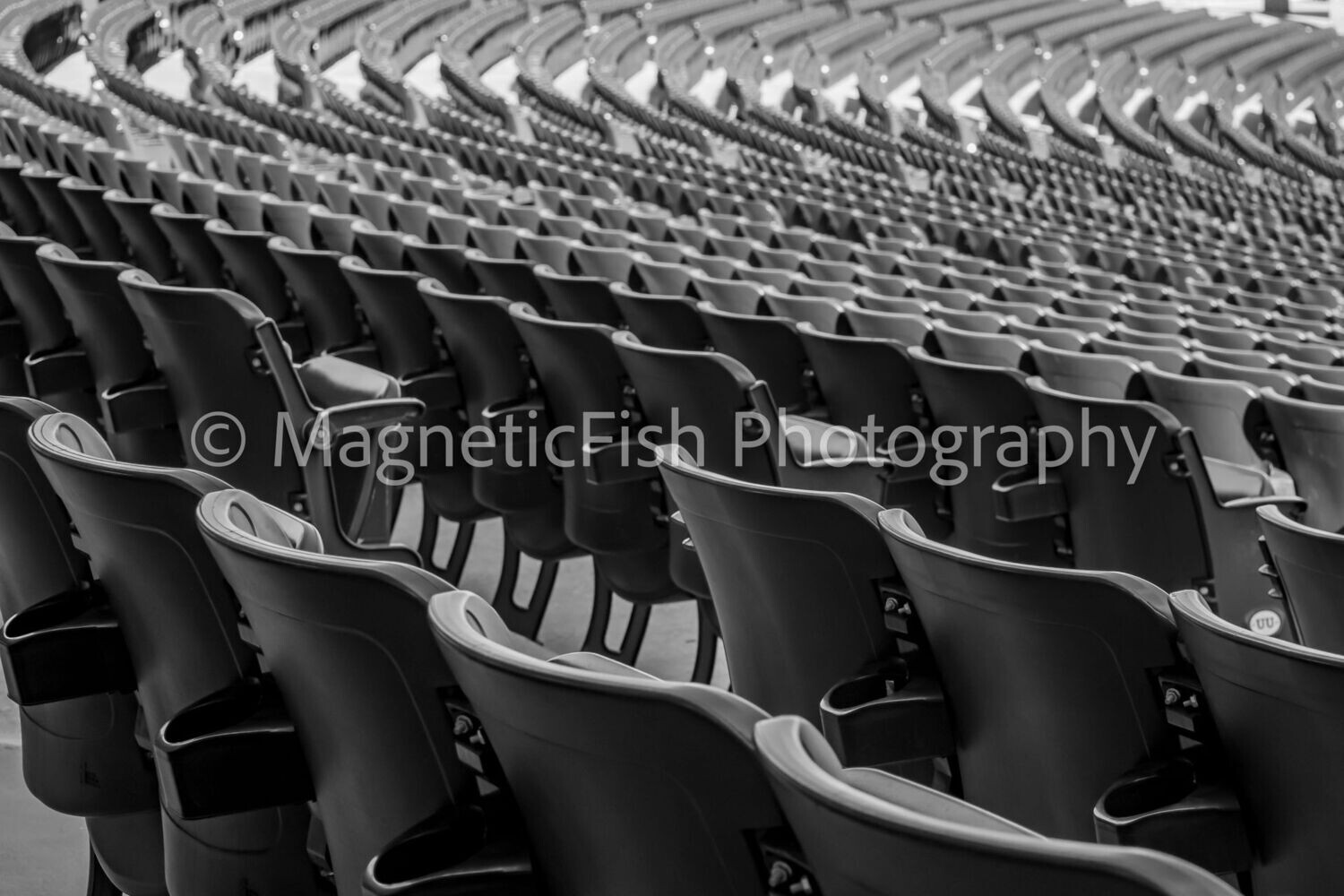 Starlight Theater I