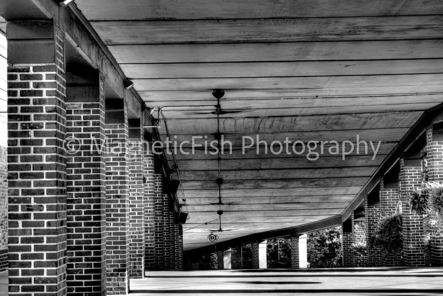 Starlight Theater II