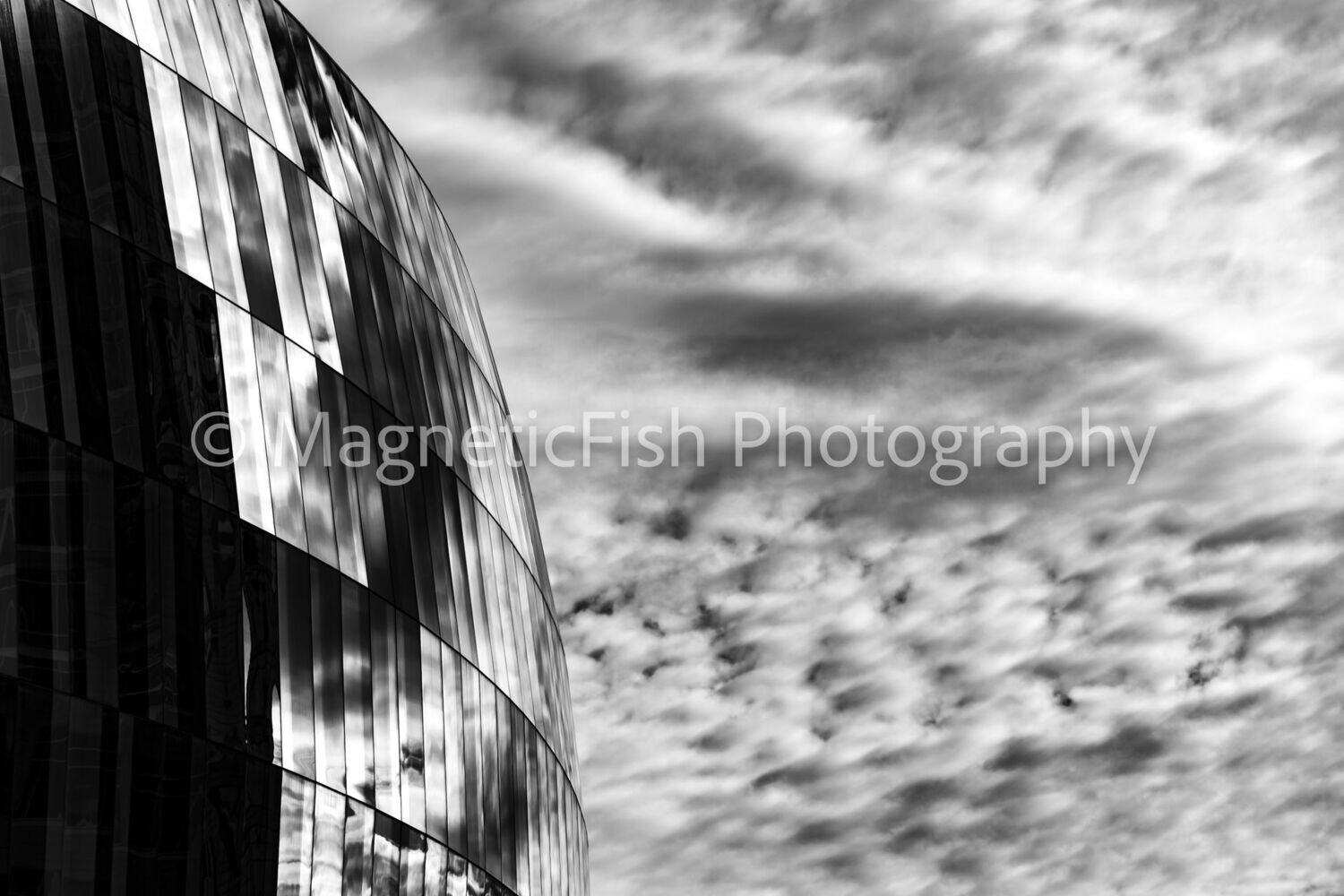 Reflection of Reality