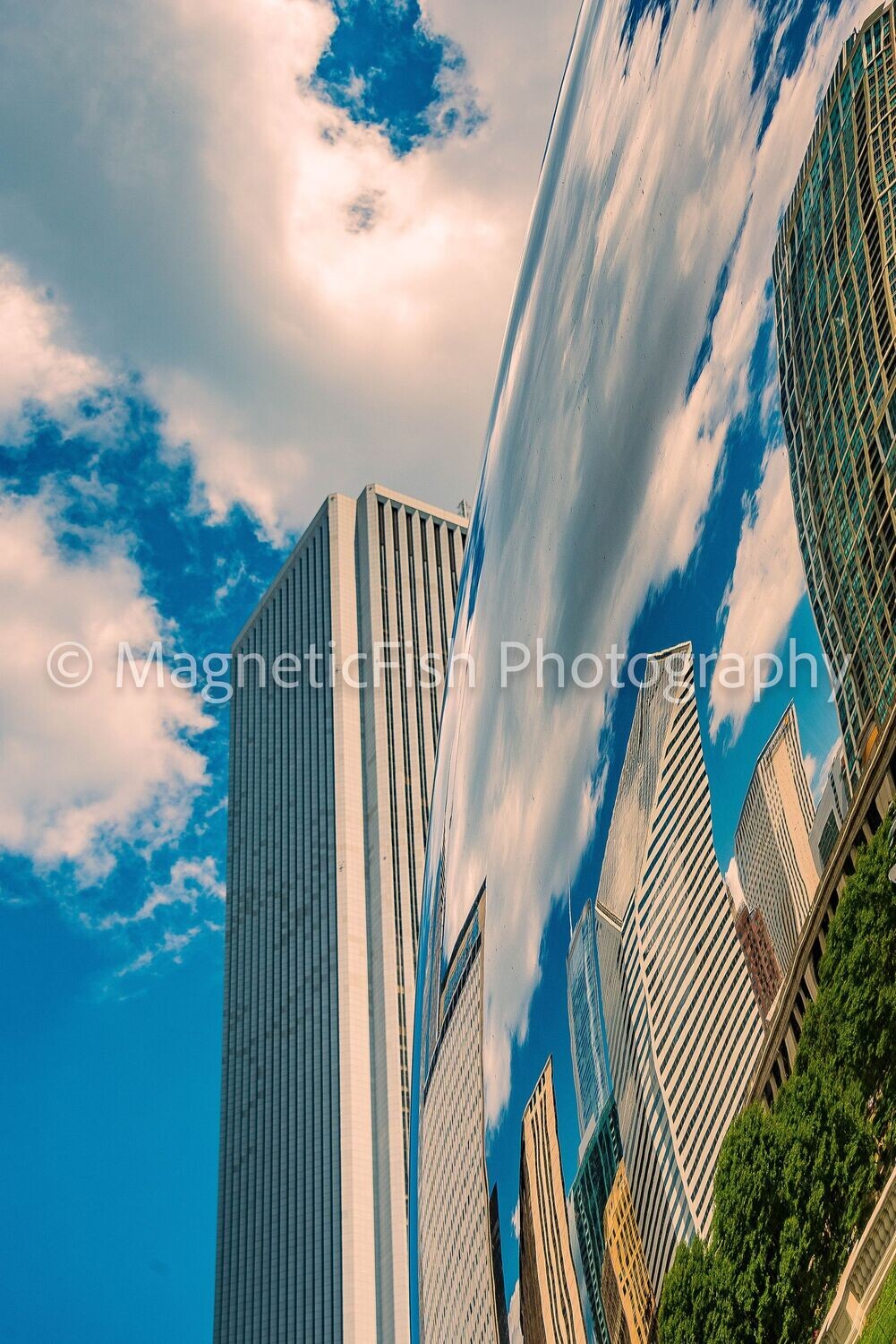 Cloud Gate North
