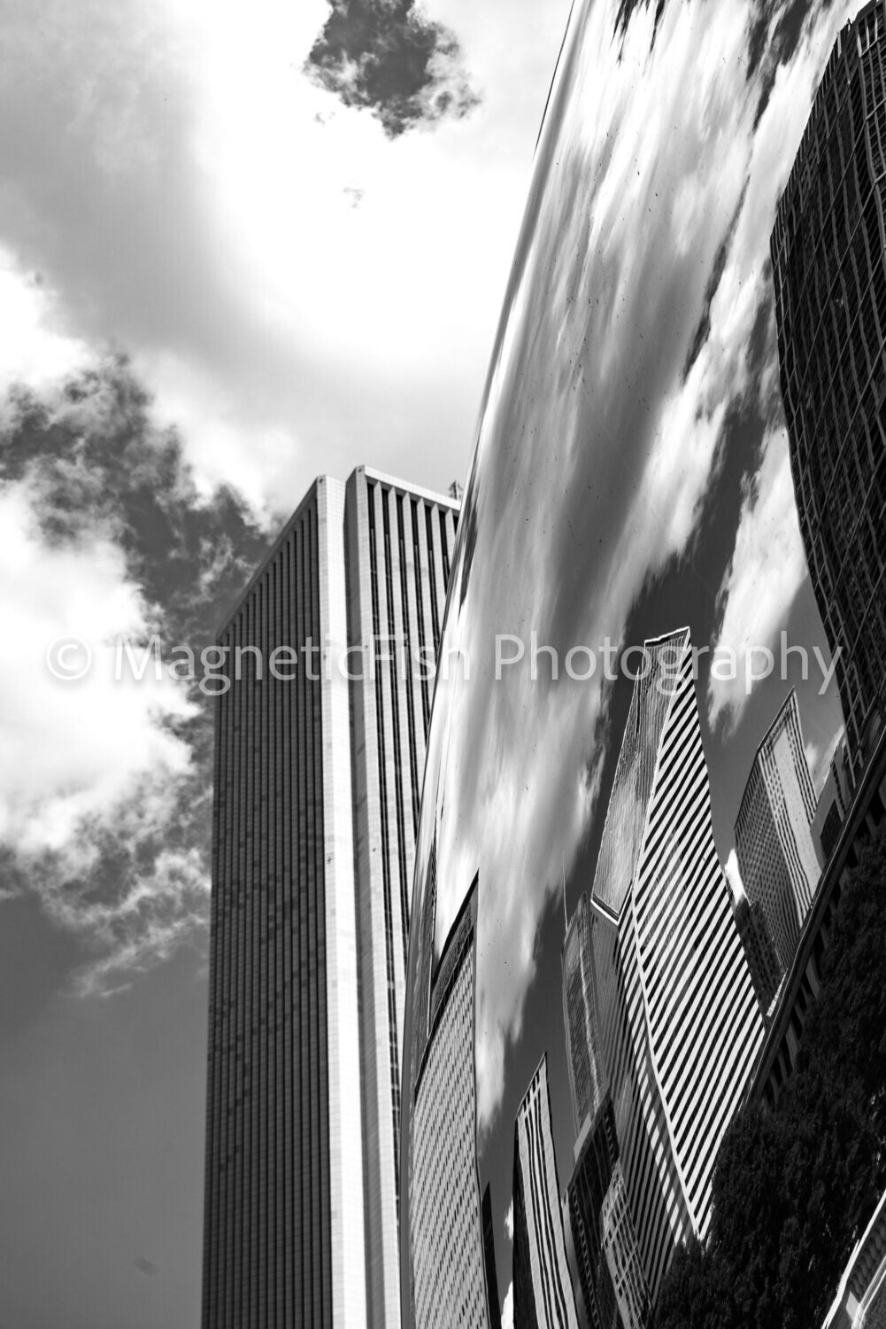 Cloud Gate North (b/w)