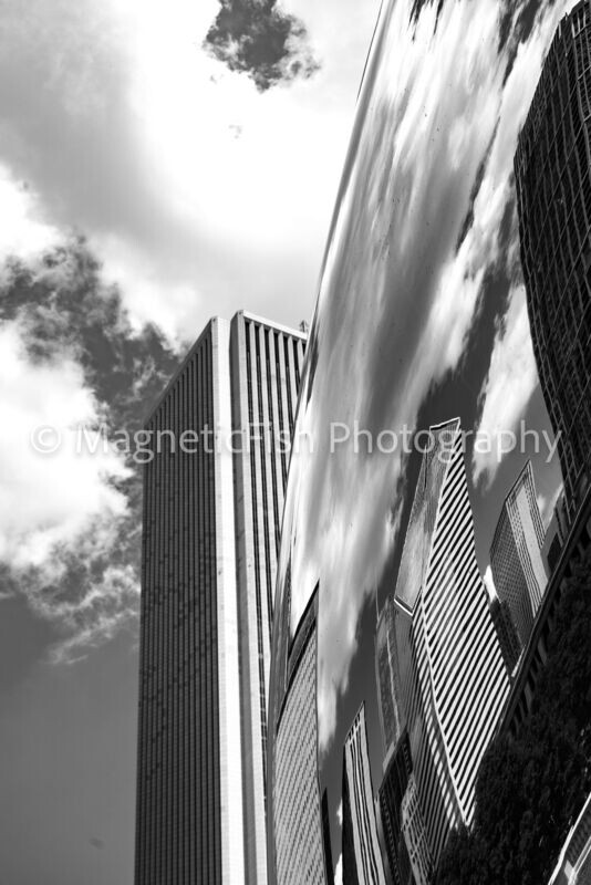 Cloud Gate North (b/w)