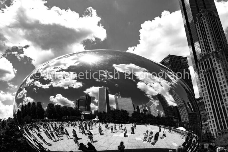 Cloud Gate (b/w)