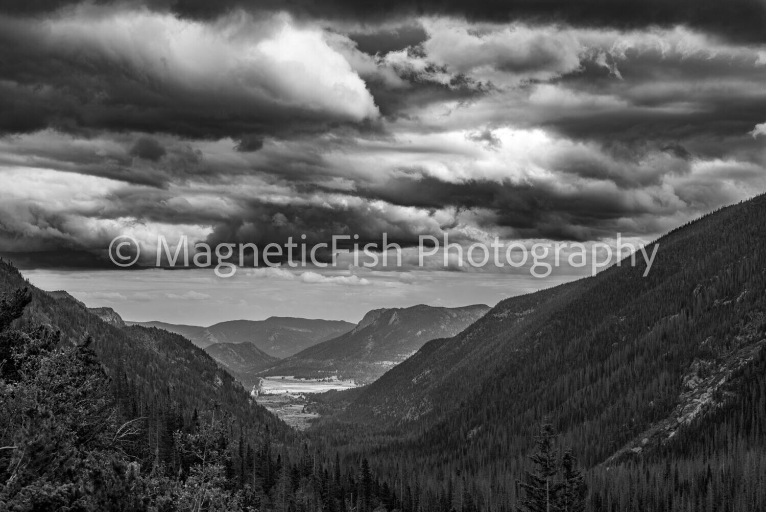 Between The Divide