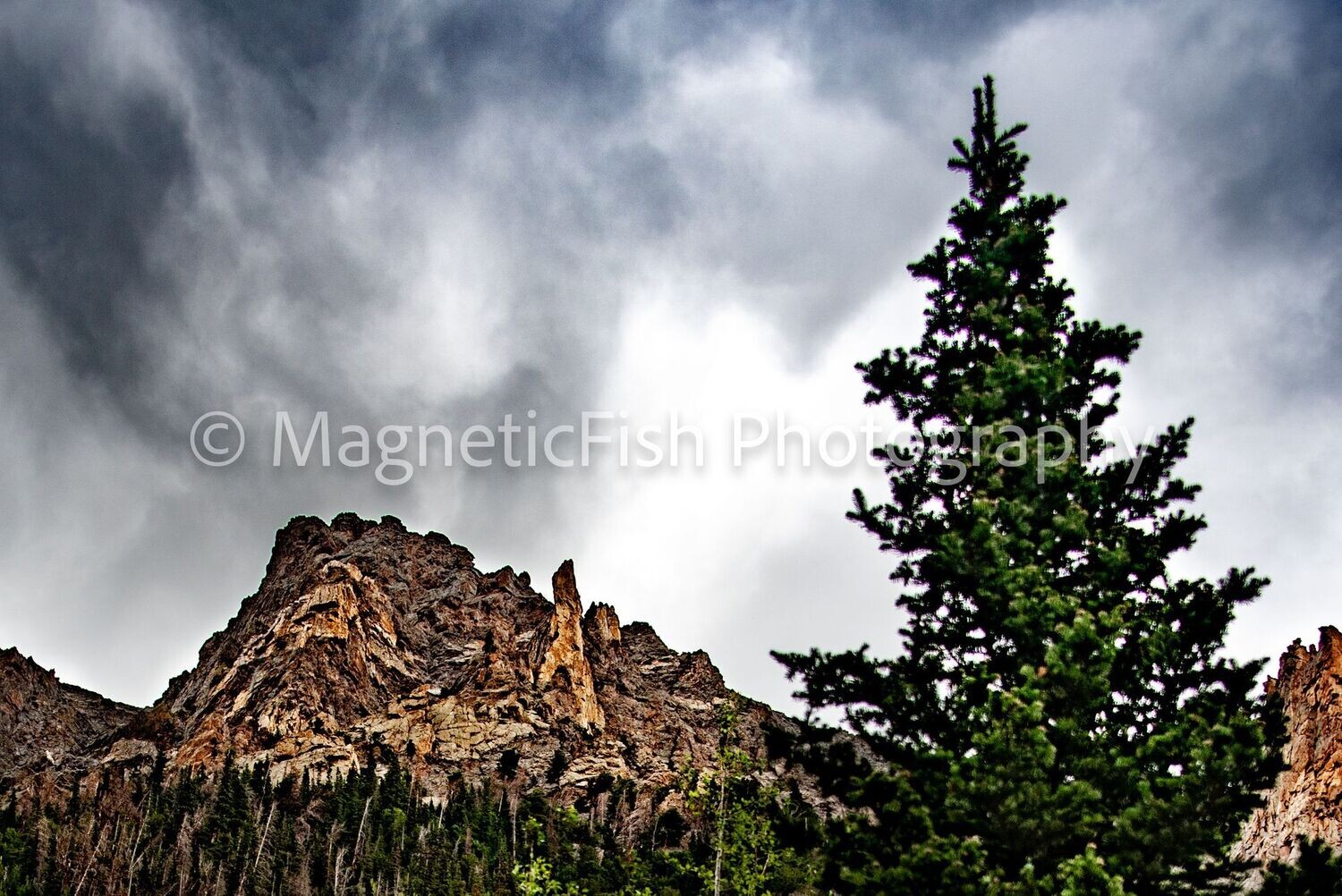 RMNP 5