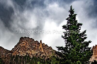 RMNP 5