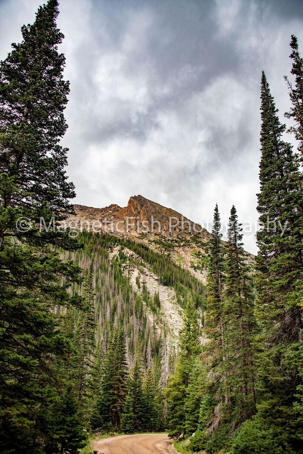 RMNP 3