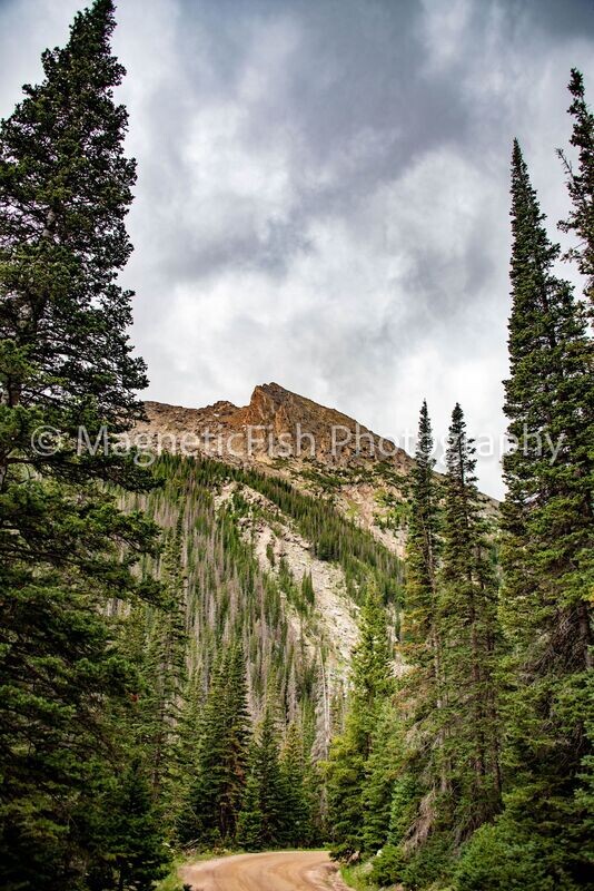 RMNP 3