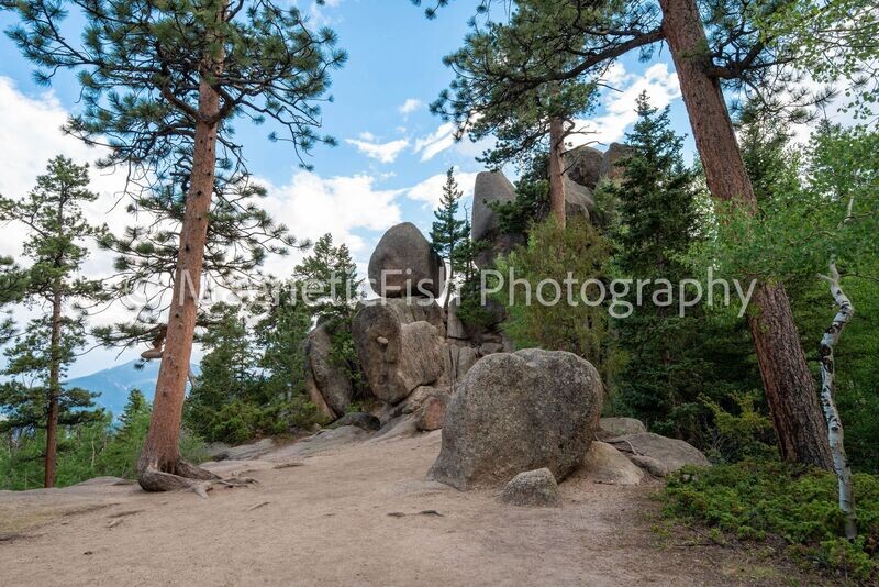 RMNP 2