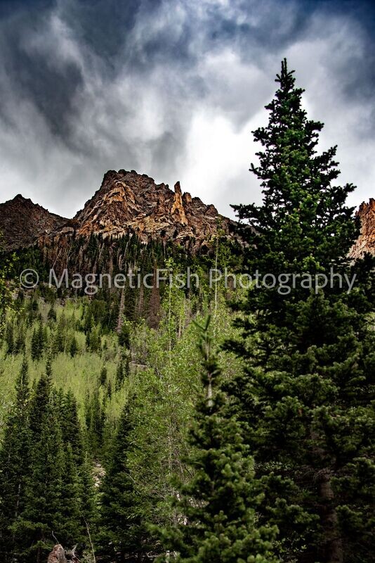 RMNP 4